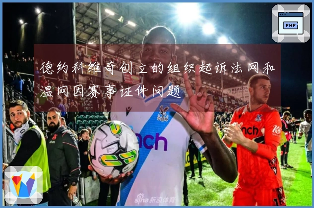 德约科维奇创立的组织起诉法网和温网因赛事证件问题